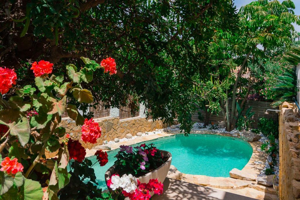 Bright Villa With Salt Water Pool El Campello Εξωτερικό φωτογραφία
