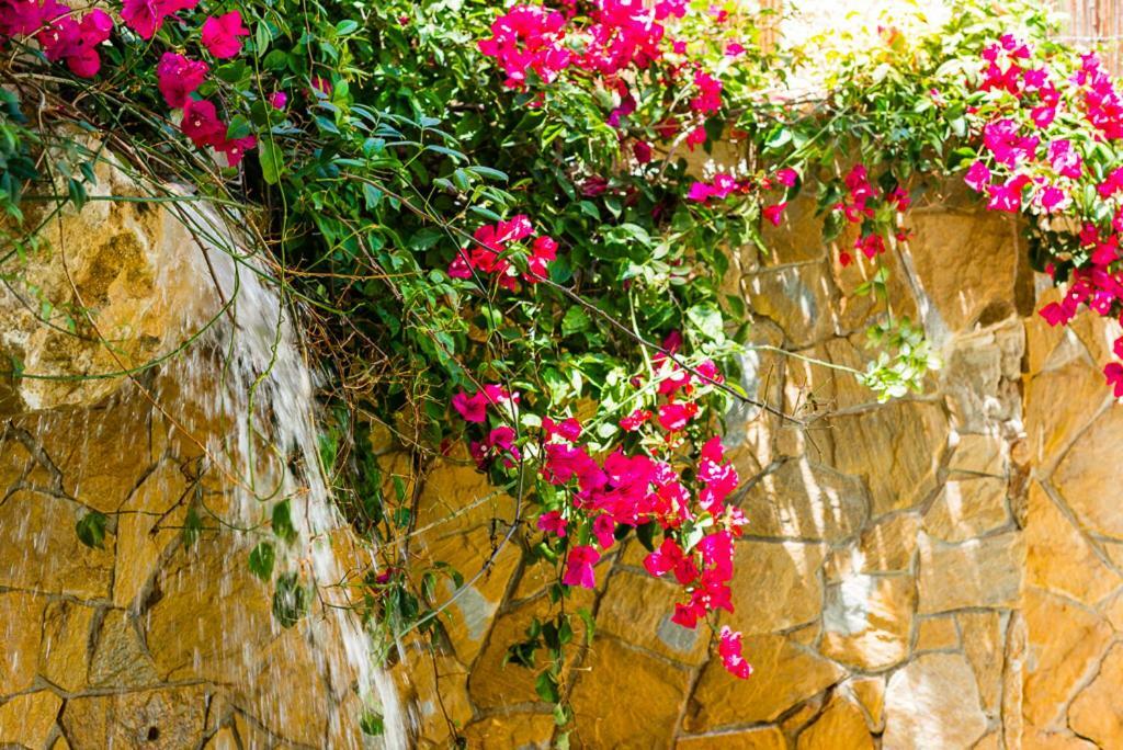 Bright Villa With Salt Water Pool El Campello Εξωτερικό φωτογραφία